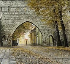 Он, Ясон (часть 4)